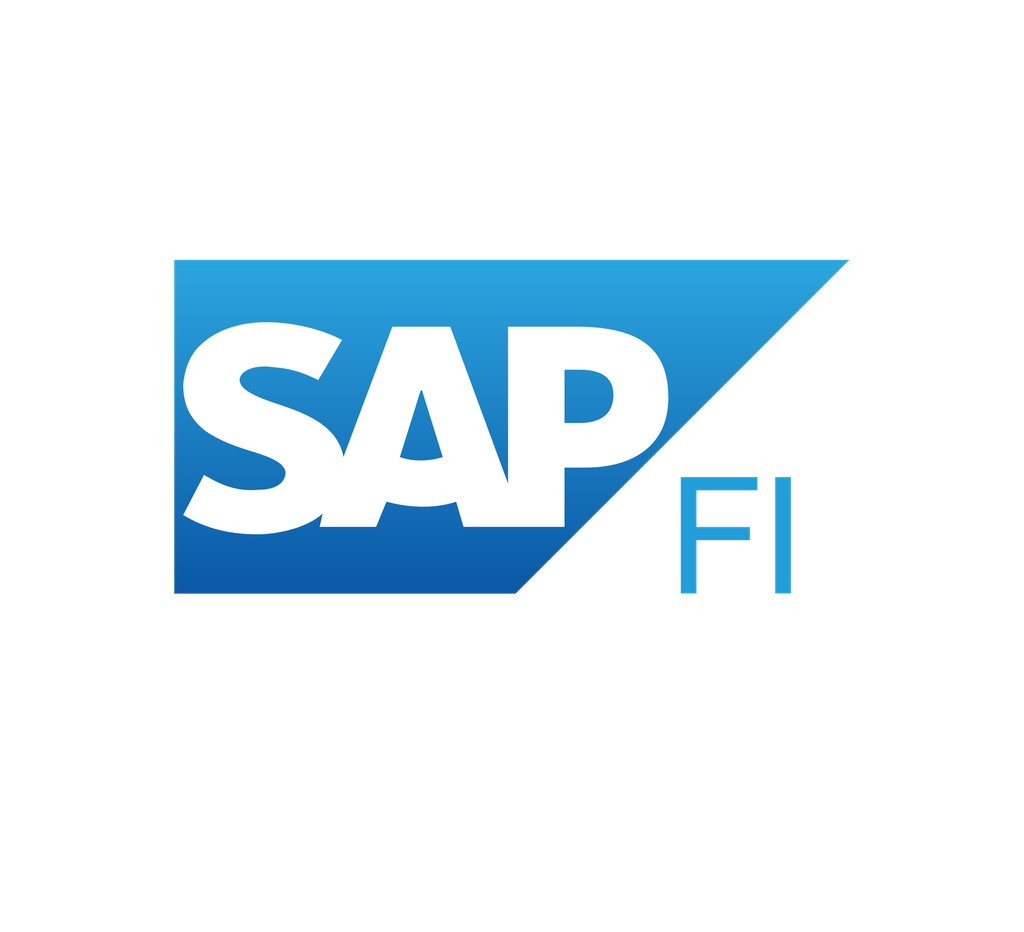 SAP FI Uzman Danışmanlık Eğitimi